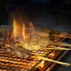 居酒屋 鶏天神 大阪梅田店の特集写真